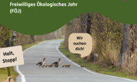 FÖJ im Biosphärenreservat